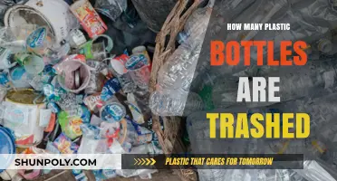 Alarming Plastic Bottle Waste: How Many End Up Trashed Daily?