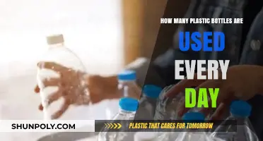 Daily Plastic Bottle Usage: A Shocking Environmental Reality Revealed