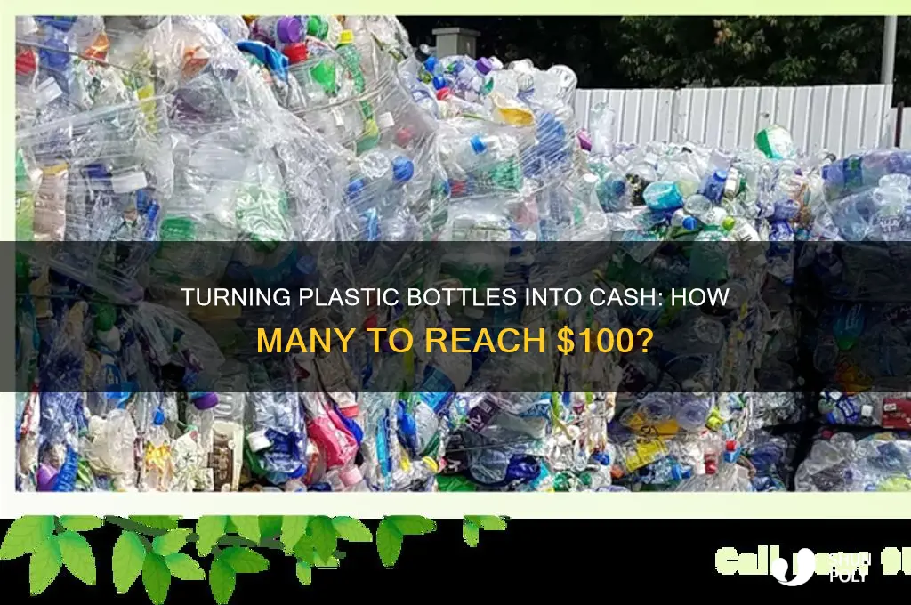 how many plastic bottles cashed in make 100