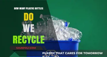 Recycling Reality: Uncovering the Truth About Plastic Bottle Recycling Rates