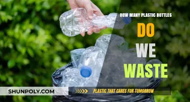 Plastic Bottle Waste: Shocking Numbers and How We Can Reduce