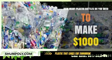 Turning Plastic Bottles into Cash: How Many to Earn $1000?