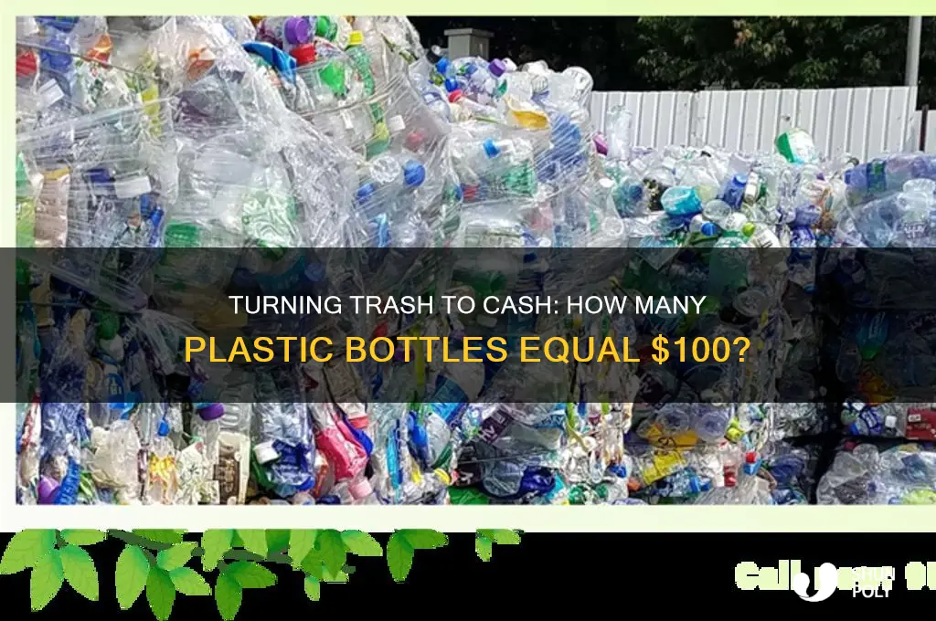 how many plastic bottles do you need to make $100