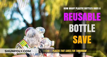 Switch to Reusable: Save Thousands of Plastic Bottles Annually