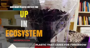 Plastic Bottle Pollution: How Many End Up in Our Ecosystems?