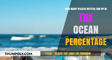 Alarming Ocean Plastic Crisis: Bottles' Percentage Revealed