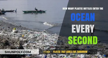 Alarming Rate: Plastic Bottles Polluting Our Oceans Every Second