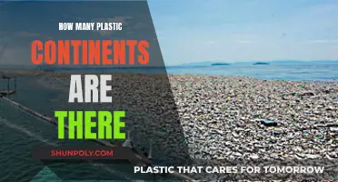 Plastic Continents: A Growing Global Crisis