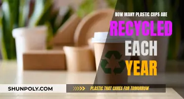 The Surprising Truth: Annual Plastic Cup Recycling Statistics