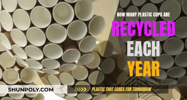 The Recycling Mystery: Plastic Cups' Annual Fate