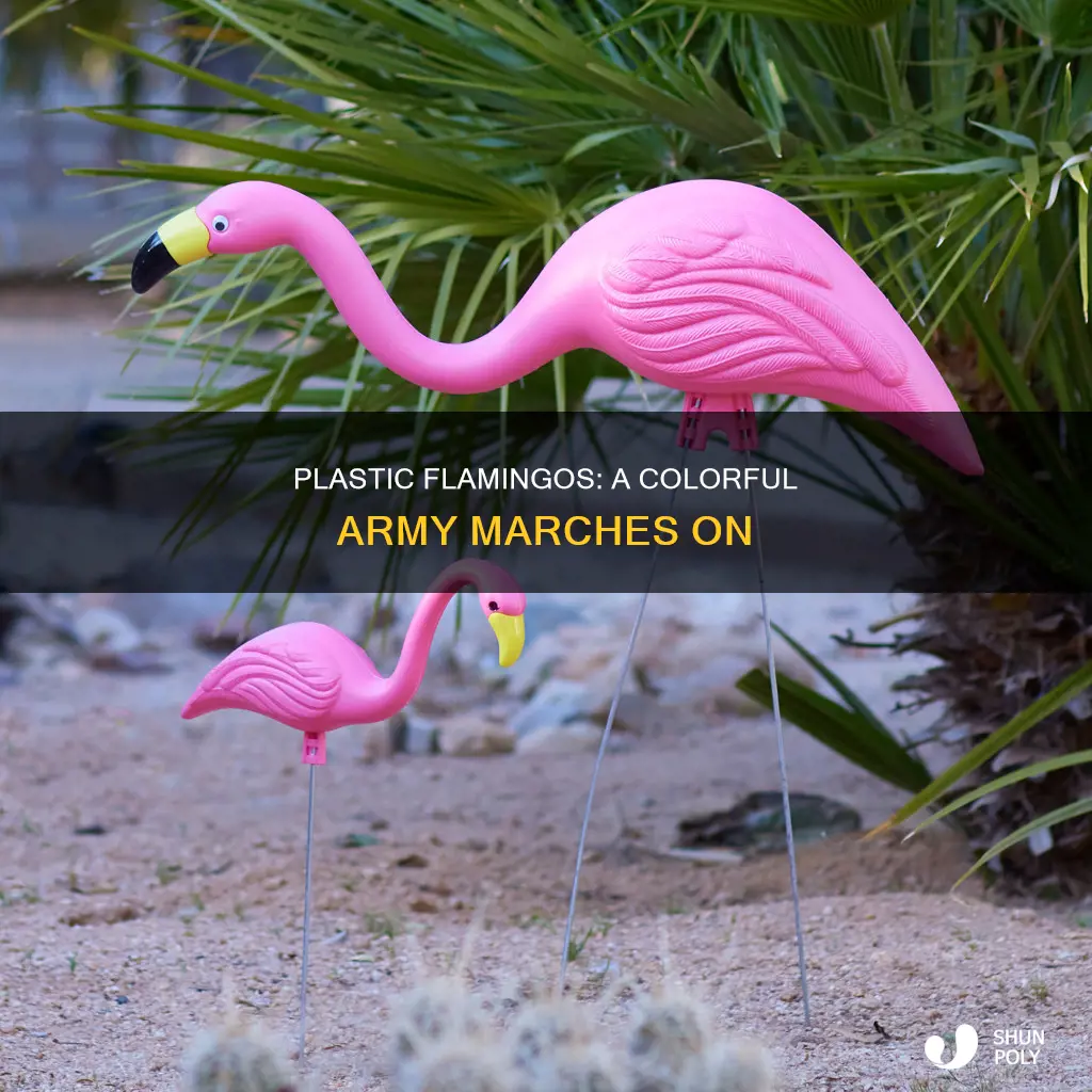 how many plastic flamingos are there