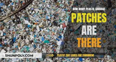 Plastic Garbage Patches: A Global Crisis