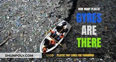 Plastic Pollution: Gyres and Their Impact