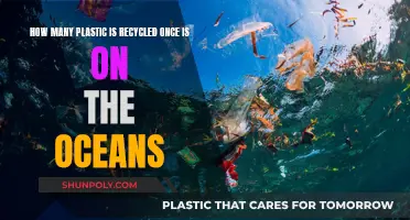 The Ocean's Plastic: Recycled Once, What's the Reality?
