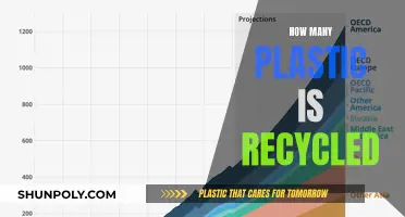 Unveiling the Plastic Recycling Mystery: Facts and Figures