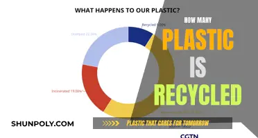 The Plastic Recycling Problem: How Much Is Actually Recycled?