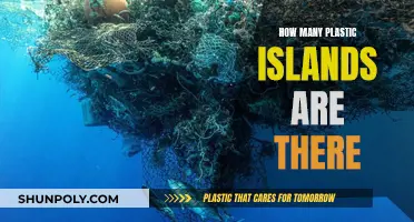 Plastic Islands: A Growing Environmental Disaster