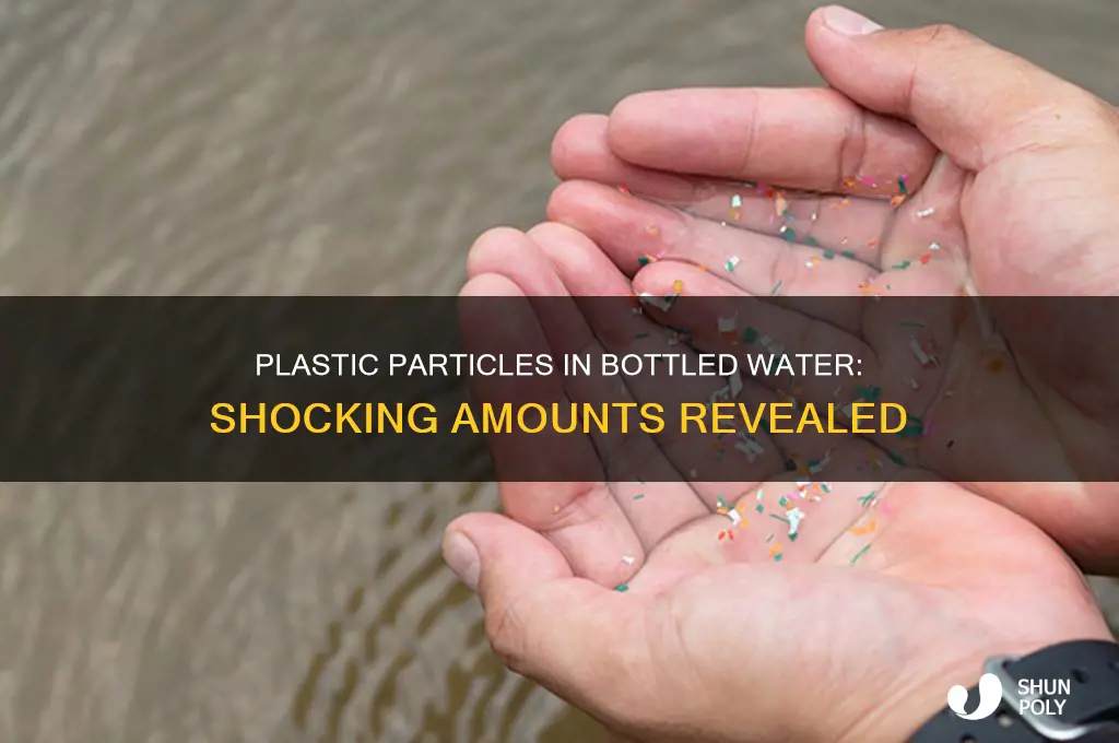 how many plastic particles are in a bottle of water