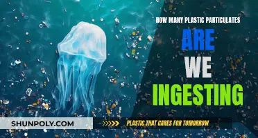 Plastic Particulates: How Many Are We Ingesting?