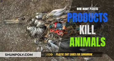 Plastic Products: A Deadly Threat to Animal Life