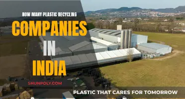 India's Plastic Recycling Landscape: Unveiling the Growing Number of Companies