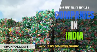 India's Plastic Recycling Industry: A Comprehensive Overview