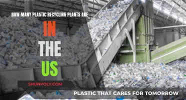 The US Plastic Recycling Landscape: A Comprehensive Overview