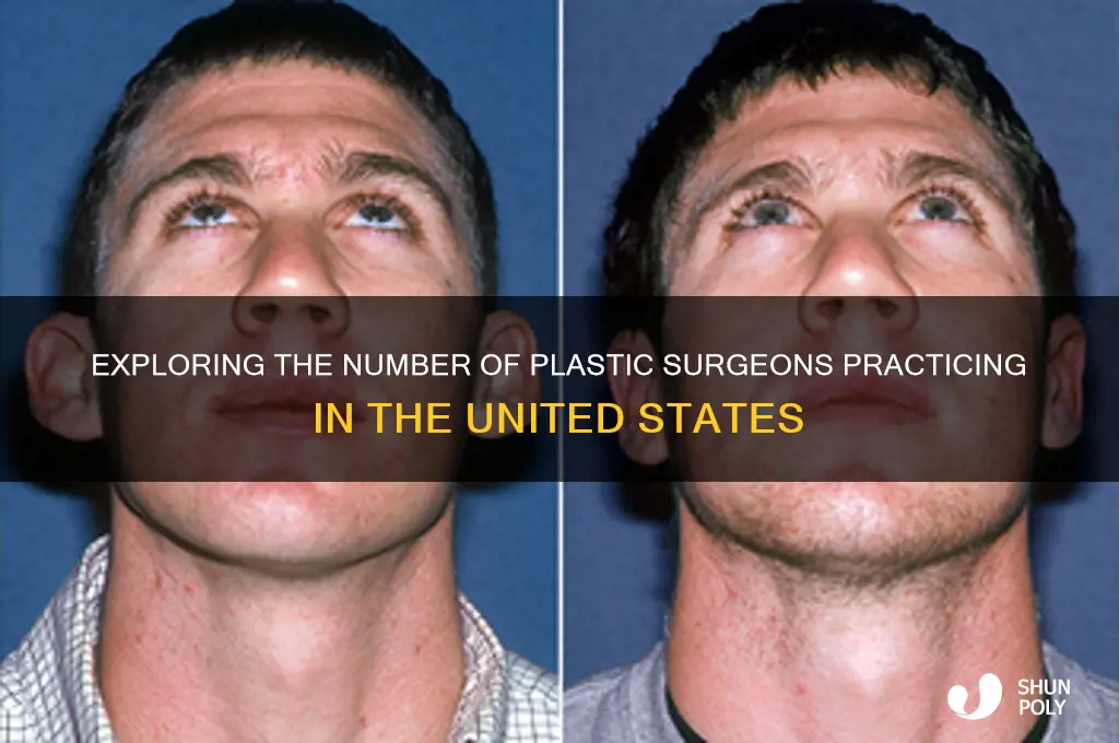 how many plastic surgeons are there in the united states