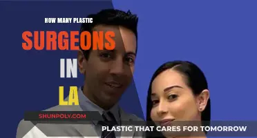 Exploring the High Number of Plastic Surgeons in Los Angeles