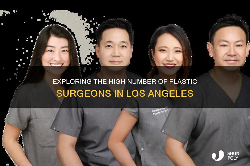 how many plastic surgeons in la