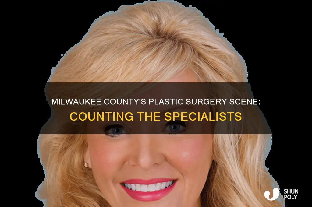 how many plastic surgeons in milwaukee county