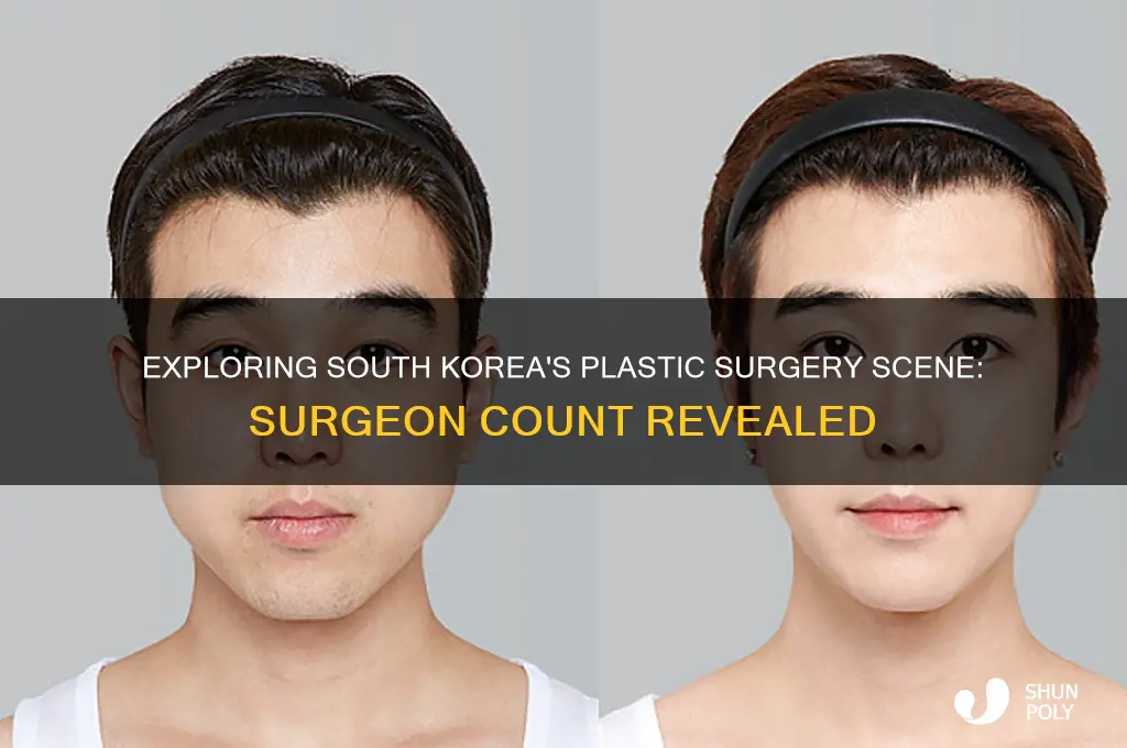 how many plastic surgeons in south korea