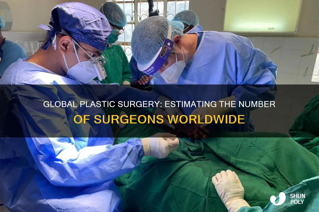how many plastic surgeons in the world