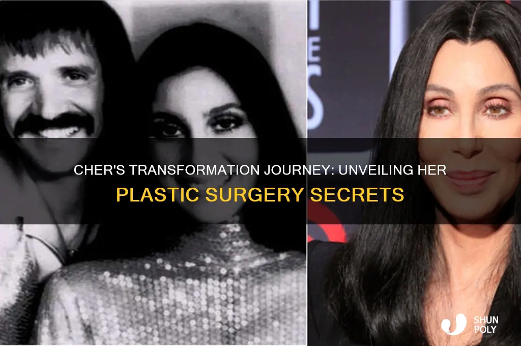 how many plastic surgeries cher has