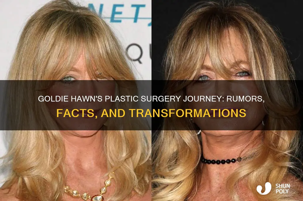 how many plastic surgeries did goldie hawn have