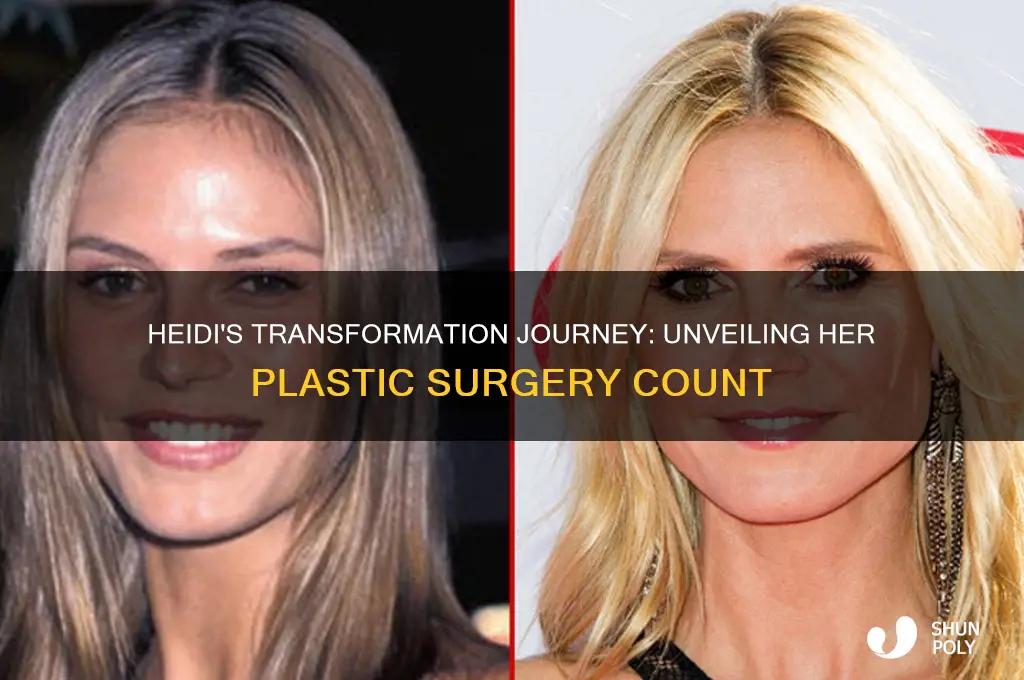 how many plastic surgeries did heidi have