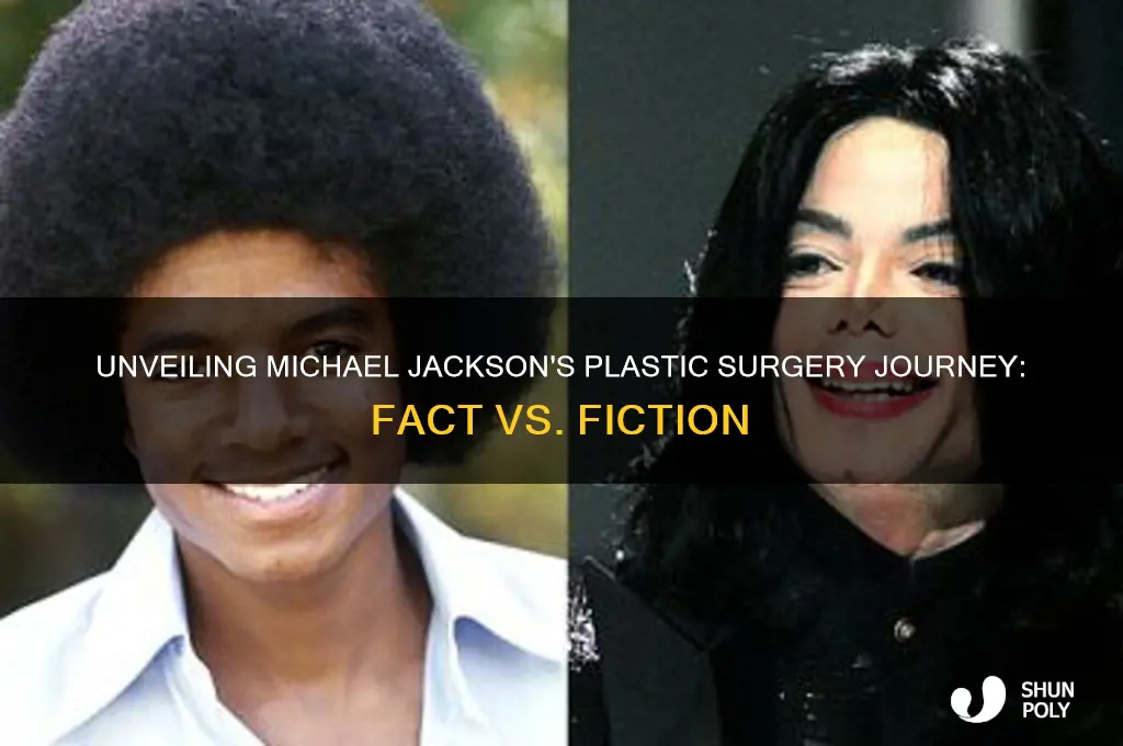 how many plastic surgeries did michael