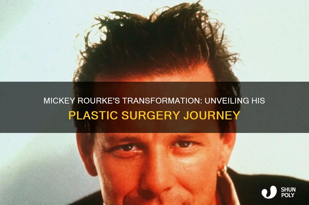how many plastic surgeries did mickey rourke have