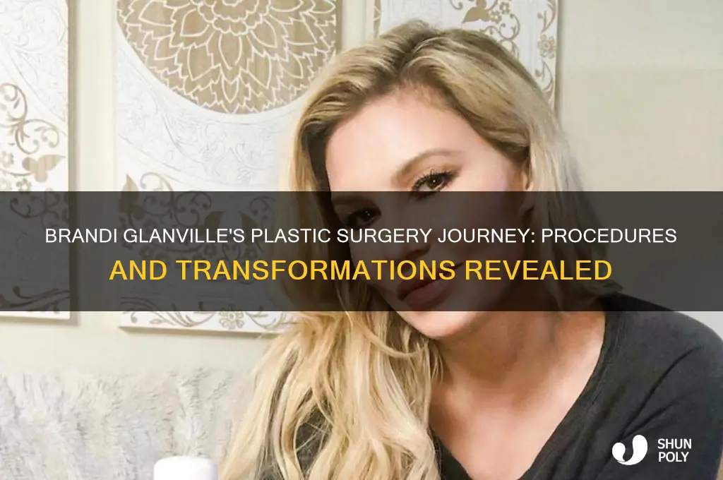how many plastic surgeries has brandi glanville had