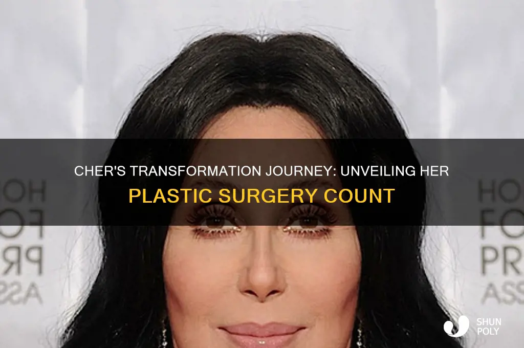 how many plastic surgeries has cher had