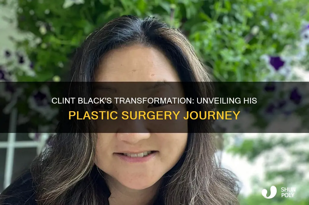 how many plastic surgeries has clint black had