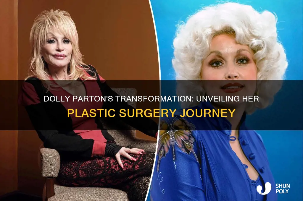how many plastic surgeries has dolly pardon had