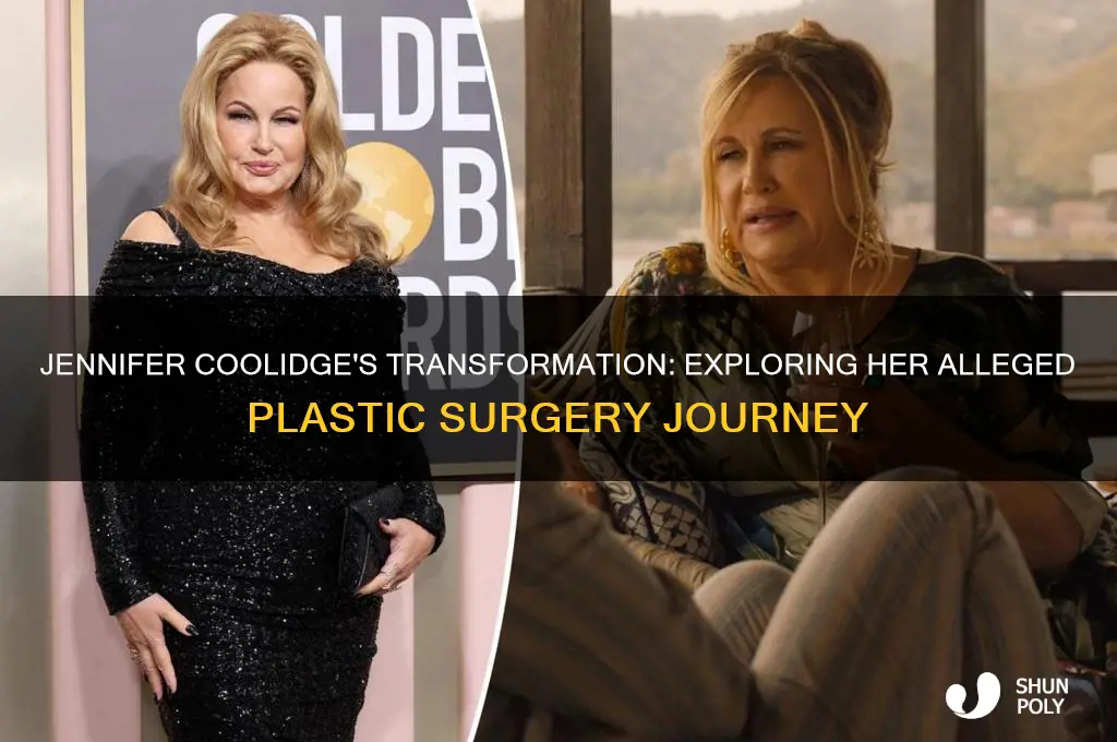 how many plastic surgeries has jennifer coolidge had