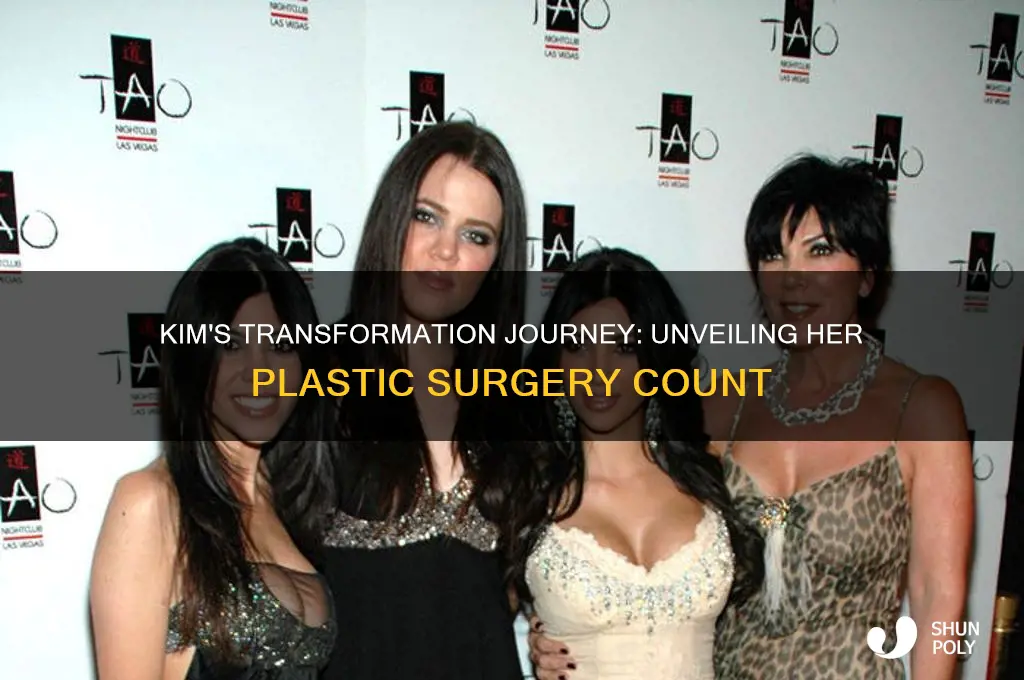 how many plastic surgeries has kim had