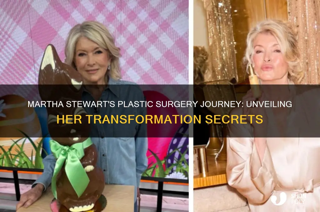 how many plastic surgeries has martha stewart had