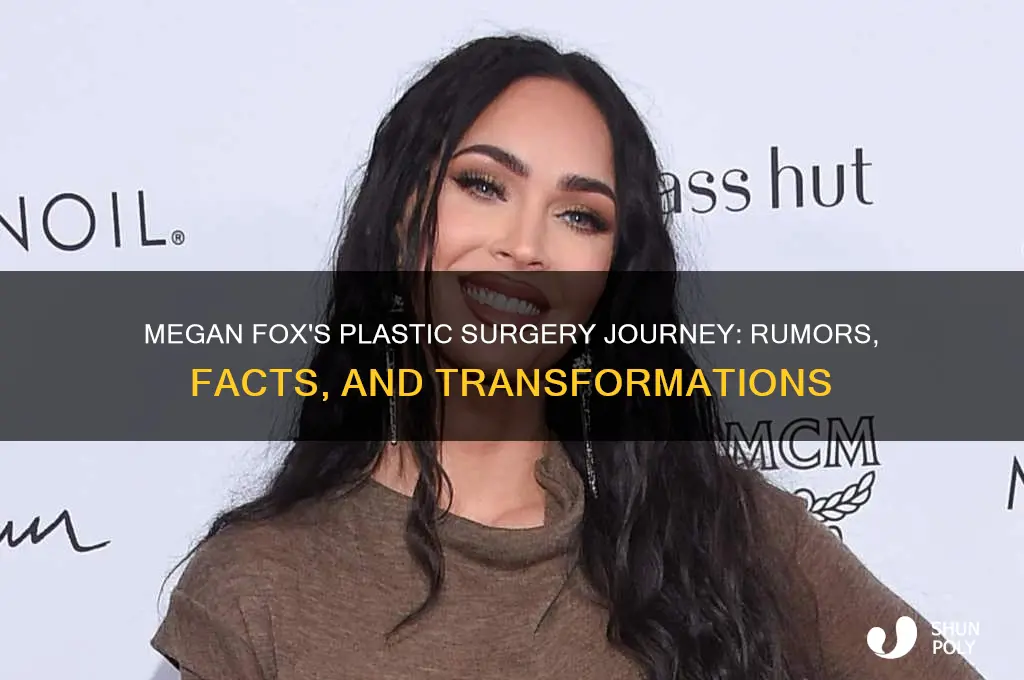 how many plastic surgeries has megan fox had