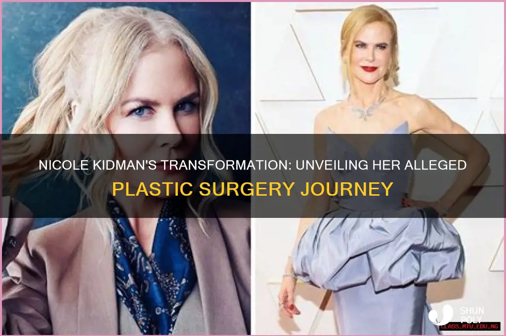 how many plastic surgeries has nicole kidman had