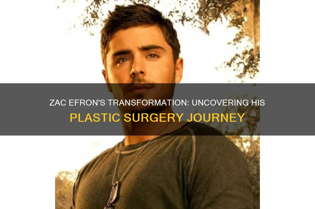 how many plastic surgeries has zac efron had