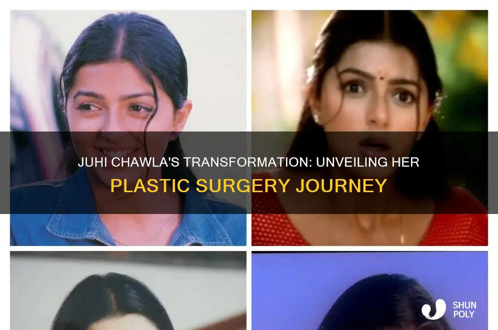 how many plastic surgeries juhi chawla has done