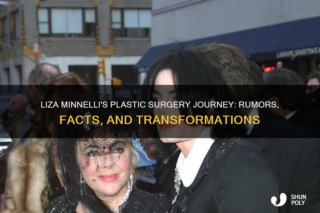 how many plastic surgeries liza minnelli